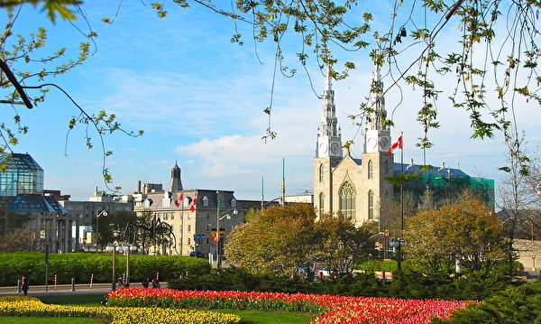 中共对个人境外投资的公证颁新规 引关注