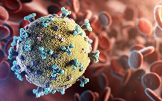 冠狀病毒表面突出的大結構——刺突蛋白，對人體有8大危害。（Shutterstock）
