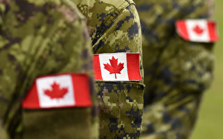 加拿大报名参军人数激增 过半来自永久居民