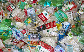 快速降解塑料垃圾 德州科學家創造塑料食用酶