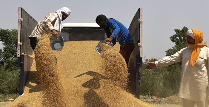 粮食保护主义浪潮下 印度宣布禁小麦出口