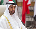 阿联酋新总统上任 视伊朗为海湾威胁