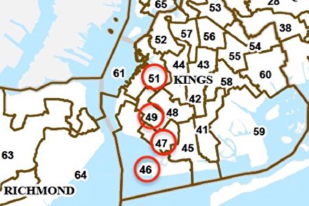 纽约州众议会第46/47/49/51选区范围（红圈标示）。