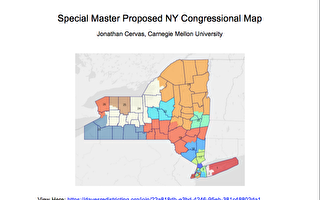 纽约中立专家重划选区地图 摇摆区增多更公平