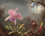 19世纪美国画家深入巴西丛林描绘蜂鸟之美