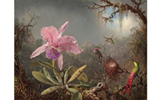 19世纪美国画家深入巴西丛林描绘蜂鸟之美