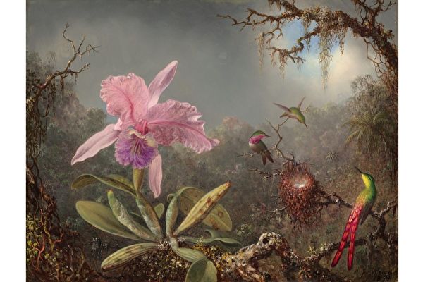 19世紀美國畫家深入巴西叢林描繪蜂鳥之美