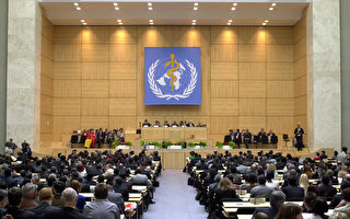 歐洲34國議員致函譚德塞 挺台參與世衛大會