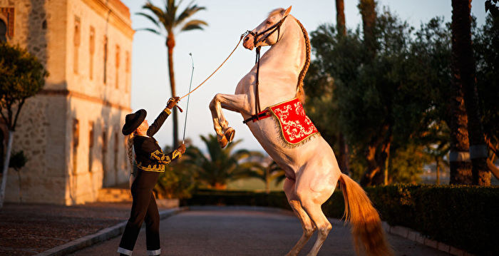 组图：与主人“心心相印”的安达卢西亚马