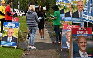 約554萬澳選民已在大選日前提前投票