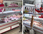 猫咪天天进店讨肉吃 老板多年暖心招待获赞
