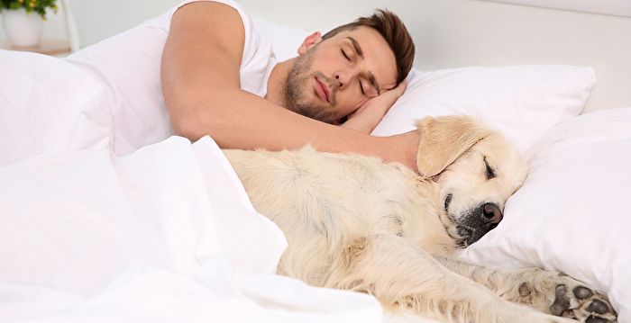 与小狗同床共眠 当心感染超级细菌