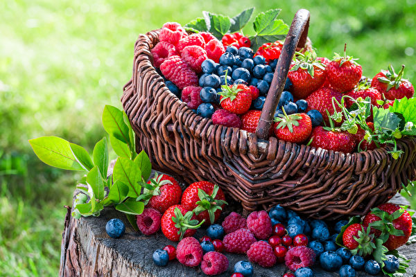 莓果營養高熱量低 避開8誤區延長美味保鮮期
