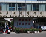 中国大学生养纸盒狗“深夜爬行”被约谈警告