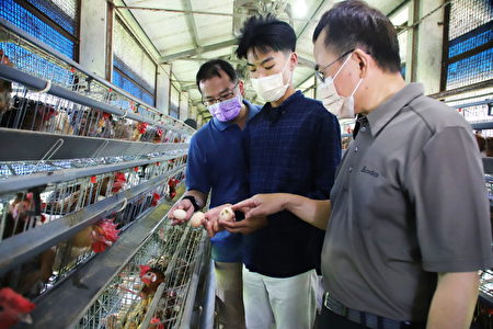 指導教授帶領吳毓祥同學（中）走訪養雞場了解雞蛋生產作業時實際產生情形。