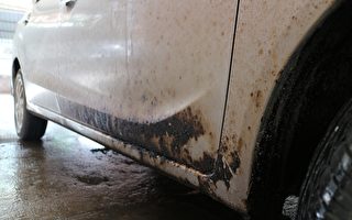如何清除汽車上的瀝青？