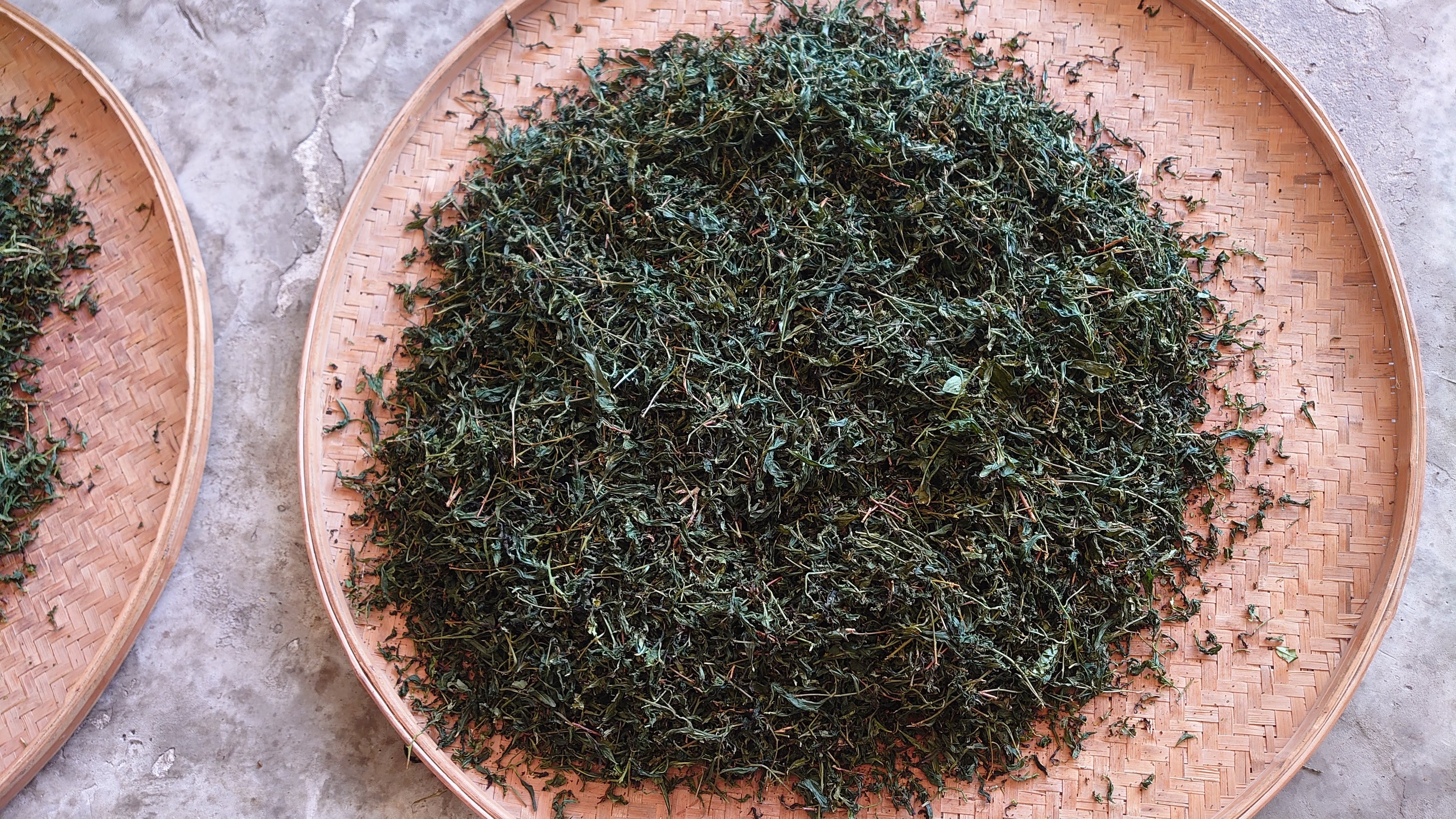香氣四溢的包種茶。(攝影/池農深)