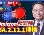 【健康1+1】Omicron新变种 BA.2.12.1传播