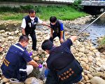 東大溪再見魚群暴斃 鎖定位置民促查