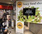 市场回暖 纽约夏季美食展吸引近两千商家参展