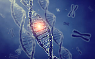 研究揭示基因组“暗物质”怎样导致癌症