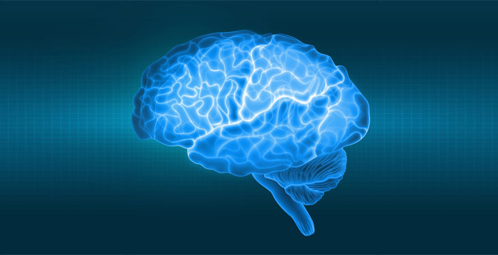 2种大脑超级食物 战胜失智、阿兹海默症