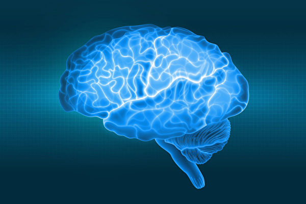 阿兹海默症是最常见的失智症，两类大脑超级食物可以预防。(Shutterstock)