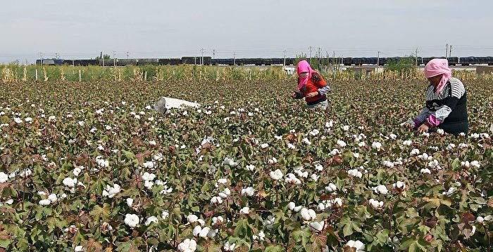 涉新疆强迫劳动 三中企再被美列入实体清单