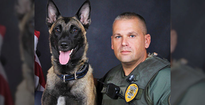 优秀警犬配合英勇警察 成功追捕一凶残枪手