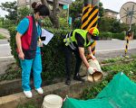 雨后落实环境整顿 远离登革热传染病威胁
