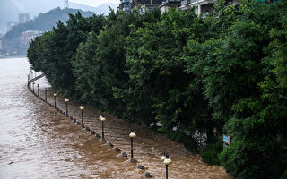 广东英德洪水泛滥 多乡镇陷入汪洋 快淹到3楼