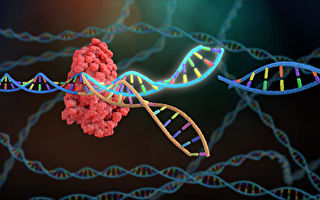 新工具针对RNA进行编辑 展示其药用潜力