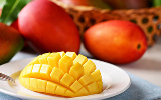 如何判斷芒果是否過熟？過熟的芒果怎麼吃？
