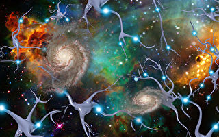 科学家发现宇宙学和神经学相通之处
