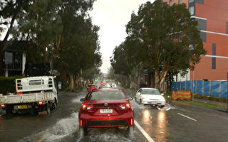 暴雨再引发洪水 悉尼四千居民被通知撤离