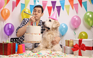 慶祝狗生日的5種方法 令人期待的歡樂時刻