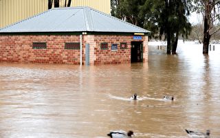 悉尼洪水肆虐 3.2萬居民接到疏散令