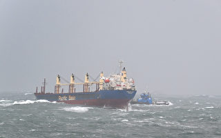 香港货轮被困悉尼海岸 恶劣天气阻碍救援