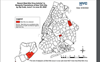 紐約市發現西尼羅病毒病媒蚊 民眾外出遊玩要小心