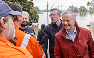 澳洲新州暴雨洪灾 总理与州长视察灾区