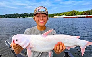 15歲男孩釣到極稀有的白鯰魚並放回