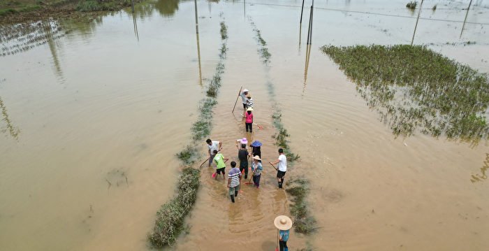 陕西汉江支流现超警戒洪水 安康万余人转移