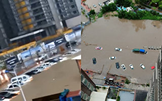 广东茂名暴雨 市区严重内涝 许多车辆泡水