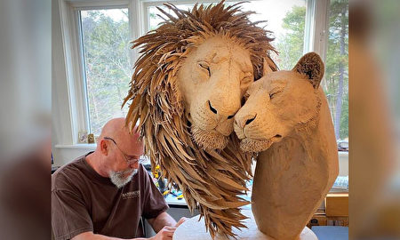 艺术家将旧纸箱变成细腻逼真的狮子雕塑| 纸板| 非洲动物| 大纪元