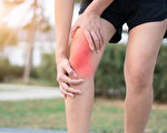 4個膝關節的自我復健方法，可讓關節多用20年。(Shutterstock)