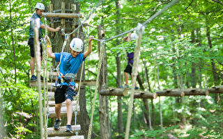 樹頂徒步探險-安省夏季最佳娛樂項目