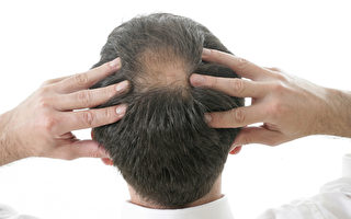 新发现：一种新的生发因子可促使头发再生