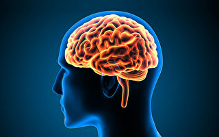 新冠病毒可损害认知能力，相当于让大脑“衰老20年”，如何逆转衰老？(Shutterstock)