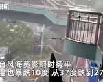 上海雨大风急 大树被吹倒 气温骤降