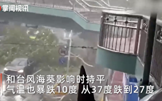 上海雨大風急 大樹被吹倒 氣溫驟降